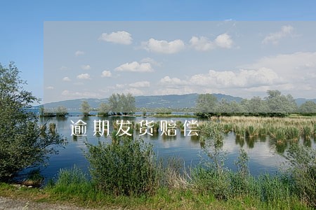 逾期发货赔偿 逾期发货赔偿