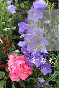逾期发货赔偿怎么做账 逾期发货赔偿怎么做账