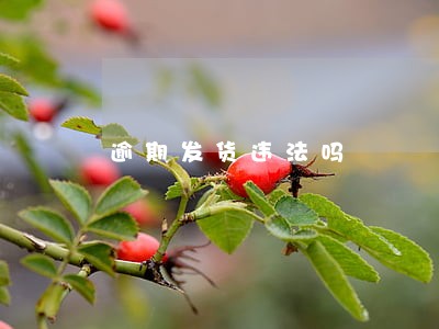 逾期发货违法吗 逾期发货违法吗