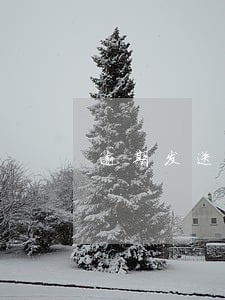 逾期发送律师函是不是真的 逾期发送律师函是不是真的