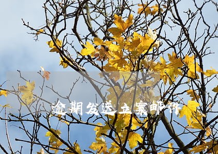 逾期发送立案邮件