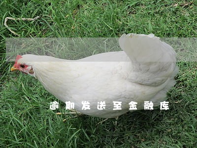 逾期发送至金融库 逾期发送至金融库