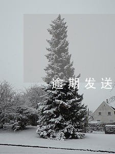 逾期发送通告函 逾期发送通告函