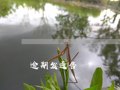 逾期发通告 逾期发通告