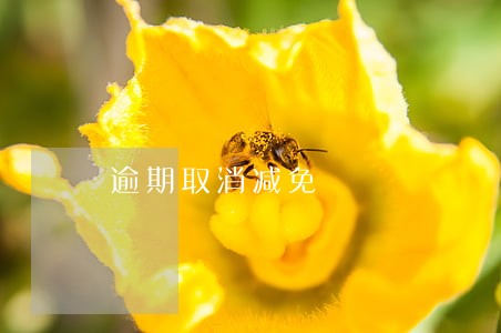 逾期取消减免 逾期取消减免