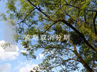 逾期取消分期 逾期取消分期