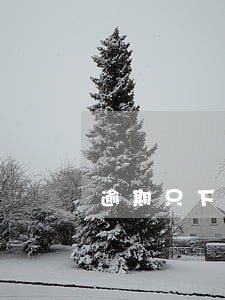 逾期只下了一个口子 逾期只下了一个口子