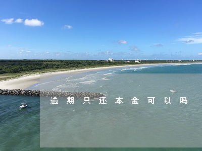 逾期只还本金可以吗 逾期只还本金可以吗
