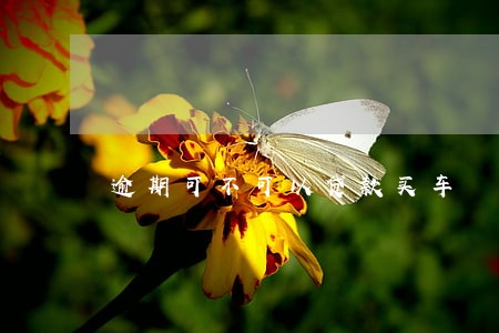 逾期可不可以贷款买车 逾期可不可以贷款买车