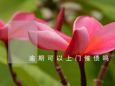 逾期可以上门催债吗 逾期可以上门催债吗