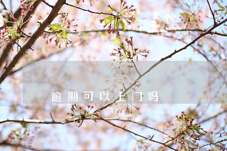 逾期可以上门吗 逾期可以上门吗