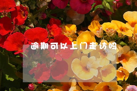 逾期可以上门走访吗 逾期可以上门走访吗