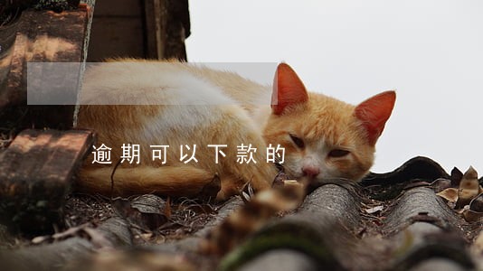 逾期可以下款的 逾期可以下款的