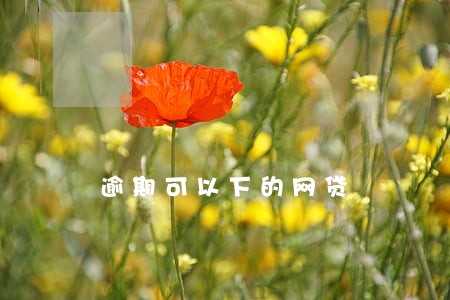 逾期可以下的网贷 逾期可以下的网贷