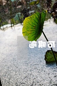 逾期可以不可以货款 逾期可以不可以货款