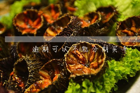 逾期可以不能分期买车