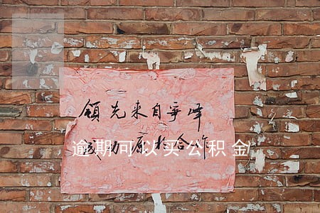 逾期可以买公积金 逾期可以买公积金