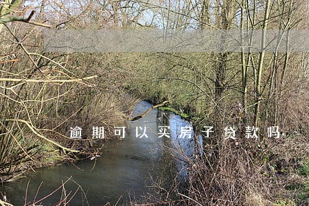 逾期可以买房子贷款吗 逾期可以买房子贷款吗