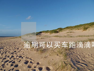 逾期可以买车跑滴滴吗 逾期可以买车跑滴滴吗