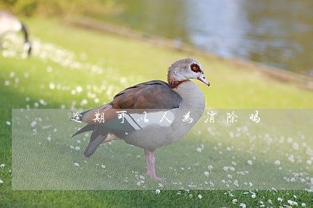 逾期可以人为消除吗 逾期可以人为消除吗