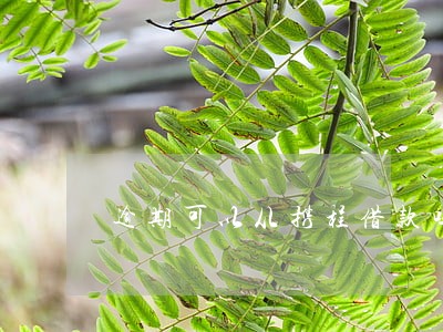 逾期可以从携程借款吗 逾期可以从携程借款吗