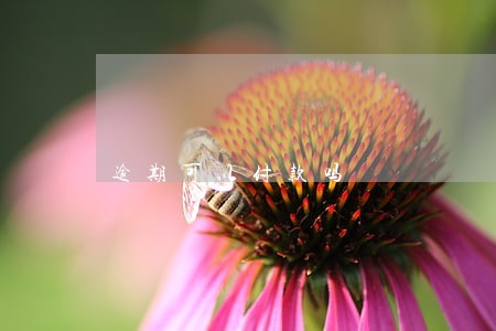 逾期可以付款吗 逾期可以付款吗
