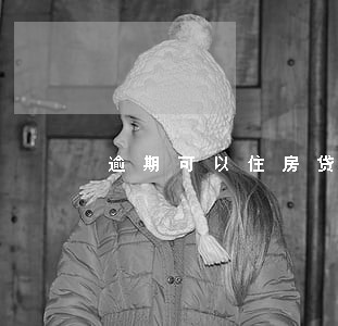 逾期可以住房贷款 逾期可以住房贷款