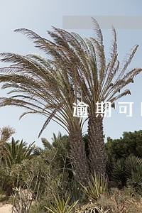 逾期可以信用贷吗 逾期可以信用贷吗