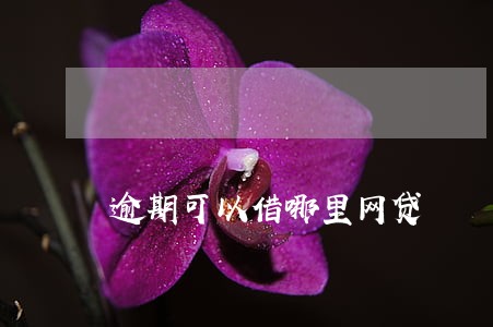 逾期可以借哪里网贷 逾期可以借哪里网贷