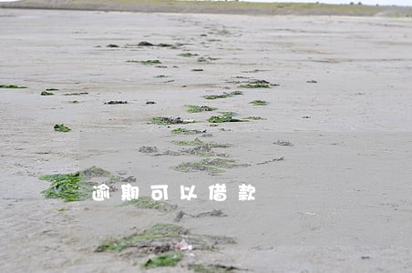 逾期可以借款 逾期可以借款