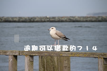 逾期可以借款的714 逾期可以借款的714