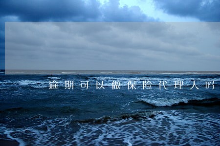 逾期可以做保险代理人吗 逾期可以做保险代理人吗