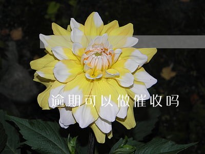 逾期可以做催收吗 逾期可以做催收吗