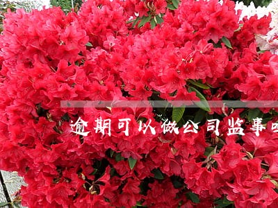 逾期可以做公司监事吗 逾期可以做公司监事吗