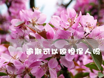 逾期可以做担保人吗
