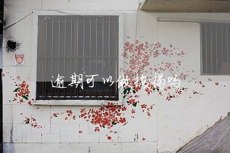 逾期可以做按揭吗 逾期可以做按揭吗