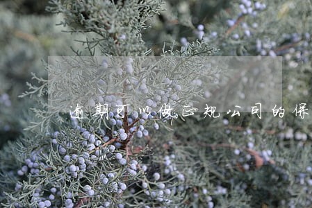 逾期可以做正规公司的保安吗 逾期可以做正规公司的保安吗