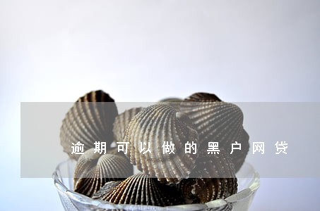 逾期可以做的黑户网贷 逾期可以做的黑户网贷