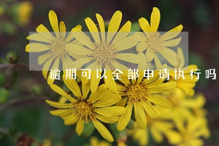 逾期可以全部申请执行吗 逾期可以全部申请执行吗