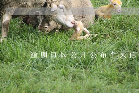 逾期可以公开公布个人信息吗 逾期可以公开公布个人信息吗