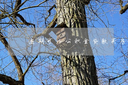 逾期可以公积金贷款买房