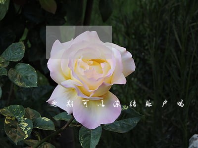 逾期可以冻结账户吗 逾期可以冻结账户吗