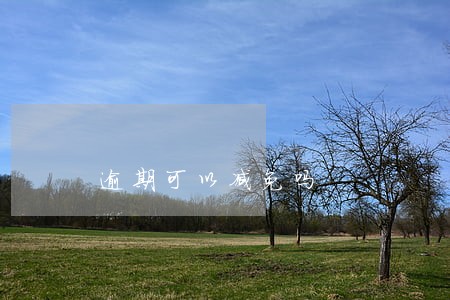 逾期可以减免吗 逾期可以减免吗