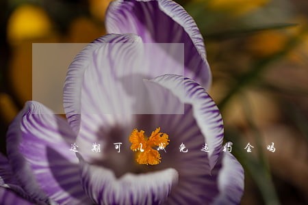逾期可以减免违约金吗 逾期可以减免违约金吗