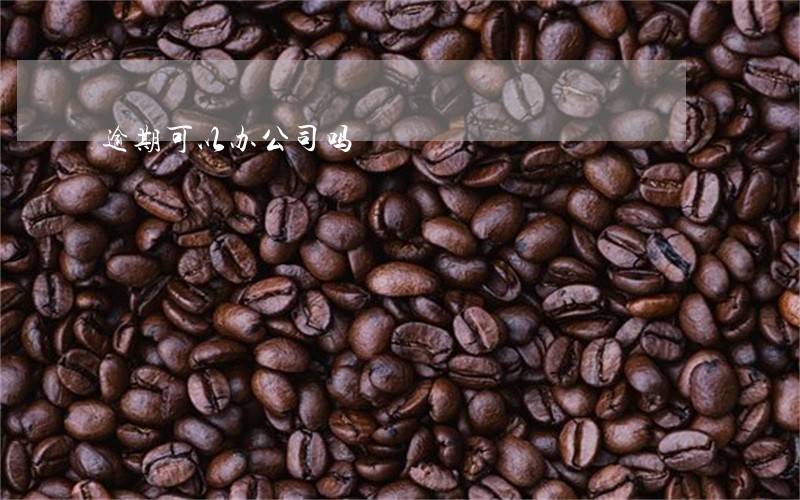 逾期可以办公司吗