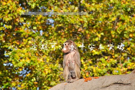 逾期可以办平安车贷吗