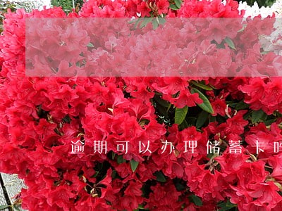 逾期可以办理储蓄卡吗