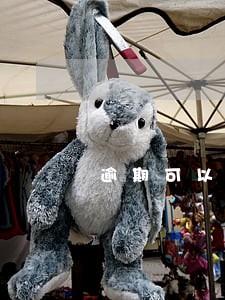 逾期可以办理公务卡么 逾期可以办理公务卡么
