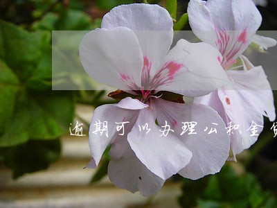 逾期可以办理公积金贷款吗 逾期可以办理公积金贷款吗