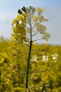 逾期可以办理房贷 逾期可以办理房贷